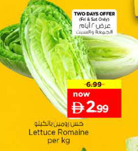 Lettuce available at نستو هايبرماركت in الإمارات العربية المتحدة , الامارات - الشارقة / عجمان