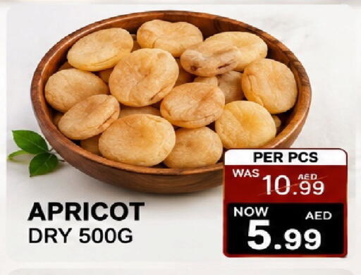 Apricot available at جفت بوينت in الإمارات العربية المتحدة , الامارات - دبي