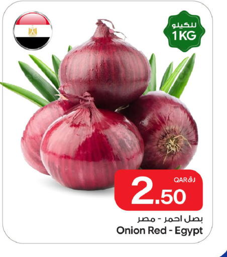 Onion from Egypt available at بن داود in قطر - الدوحة