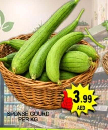 available at جرين جيفت متجر أقسام in الإمارات العربية المتحدة , الامارات - دبي