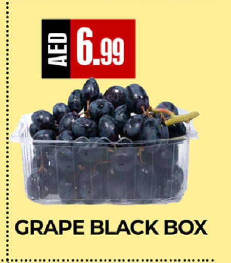 available at  RIVIERA SUPERMARKET L.L.C in UAE - Abu Dhabi