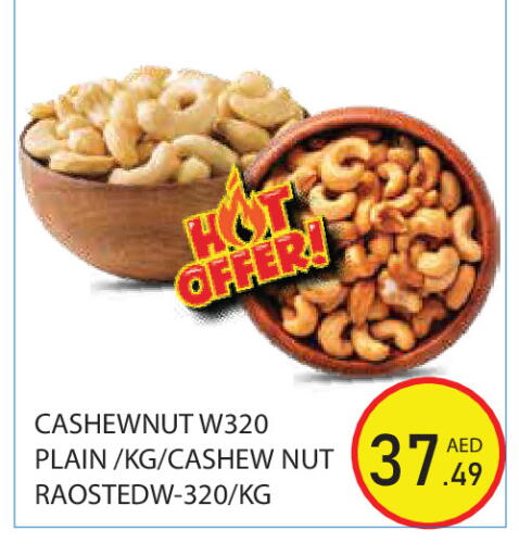 available at سنابل بني ياس in الإمارات العربية المتحدة , الامارات - أبو ظبي