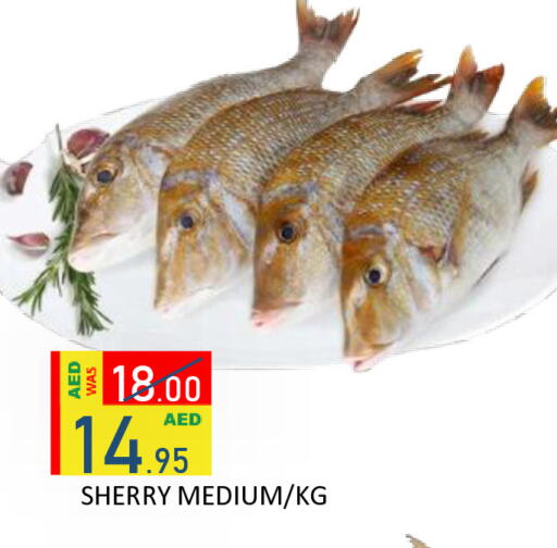available at ROYAL GULF HYPERMARKET LLC in UAE - Abu Dhabi