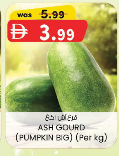 Pumpkin available at ك. الم. للتجارة in الإمارات العربية المتحدة , الامارات - أبو ظبي