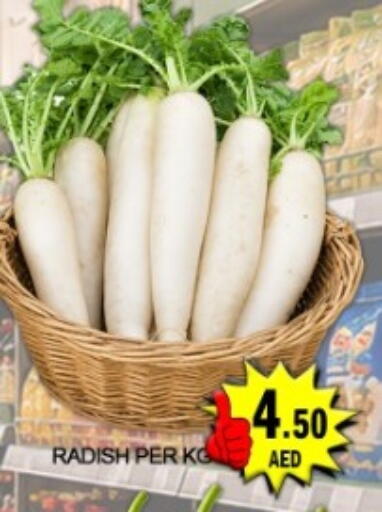 Radish available at جرين جيفت متجر أقسام in الإمارات العربية المتحدة , الامارات - دبي