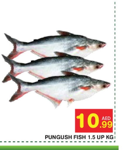 available at سنابل بني ياس in الإمارات العربية المتحدة , الامارات - أبو ظبي