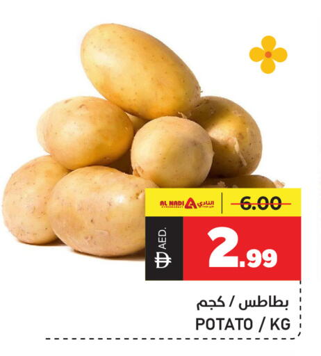 Potato available at النادي هايبرماركت in الإمارات العربية المتحدة , الامارات - الشارقة / عجمان