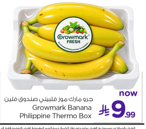 Banana from Philippines available at نستو in مملكة العربية السعودية, السعودية, سعودية - الخبر‎