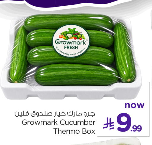 Cucumber available at نستو in مملكة العربية السعودية, السعودية, سعودية - الخبر‎
