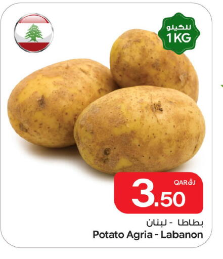 Potato available at بن داود in قطر - الدوحة