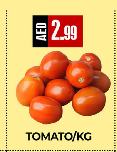 Tomato available at  RIVIERA SUPERMARKET L.L.C in UAE - Abu Dhabi