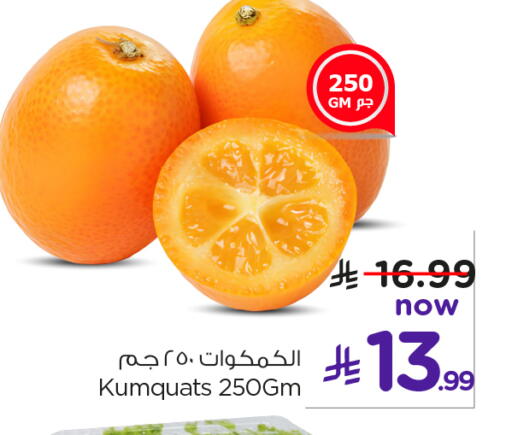 available at نستو in مملكة العربية السعودية, السعودية, سعودية - الخبر‎