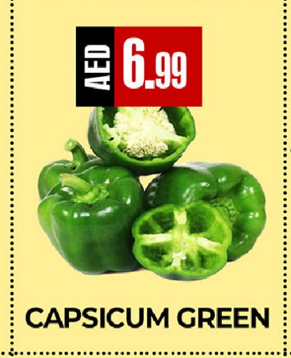 Capsicum available at  RIVIERA SUPERMARKET L.L.C in UAE - Abu Dhabi