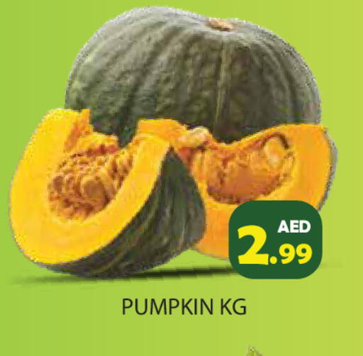 Pumpkin available at Baniyas Spike  in UAE - Ras al Khaimah