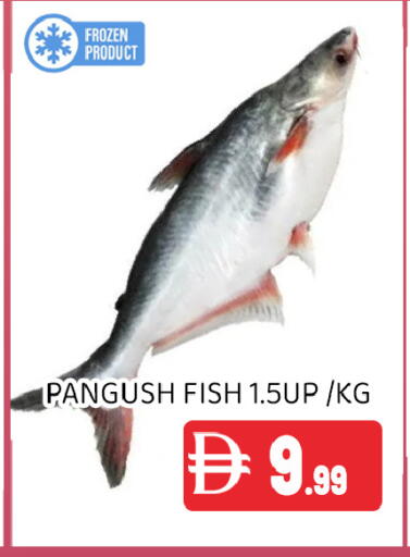 available at عين المدينة هايبرماركت in الإمارات العربية المتحدة , الامارات - الشارقة / عجمان
