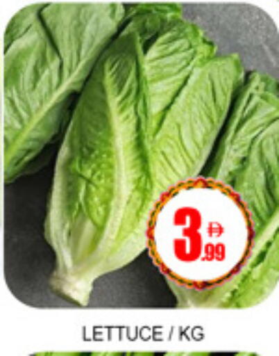 Lettuce available at لكي سنتر in الإمارات العربية المتحدة , الامارات - الشارقة / عجمان