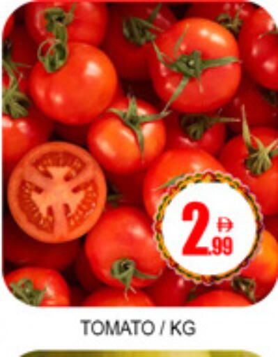 Tomato available at لكي سنتر in الإمارات العربية المتحدة , الامارات - الشارقة / عجمان
