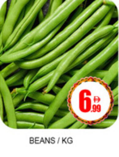 available at لكي سنتر in الإمارات العربية المتحدة , الامارات - الشارقة / عجمان
