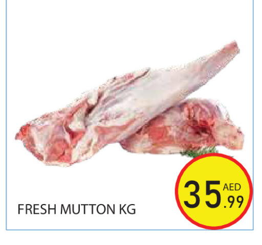 available at Baniyas Spike  in UAE - Ras al Khaimah