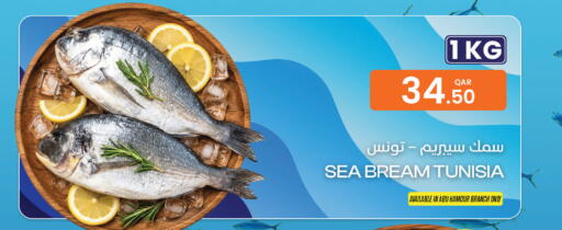 available at البلدي اليوم in قطر - الشمال