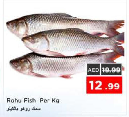 available at نستو هايبرماركت in الإمارات العربية المتحدة , الامارات - الشارقة / عجمان