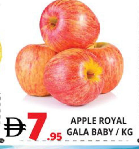 Apple available at اكسبرس المدينة هايبرماركت in الإمارات العربية المتحدة , الامارات - أبو ظبي