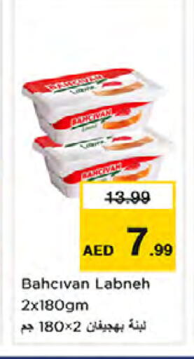 available at نستو هايبرماركت in الإمارات العربية المتحدة , الامارات - الشارقة / عجمان