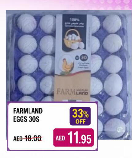 available at ROYAL GULF HYPERMARKET LLC in UAE - Abu Dhabi