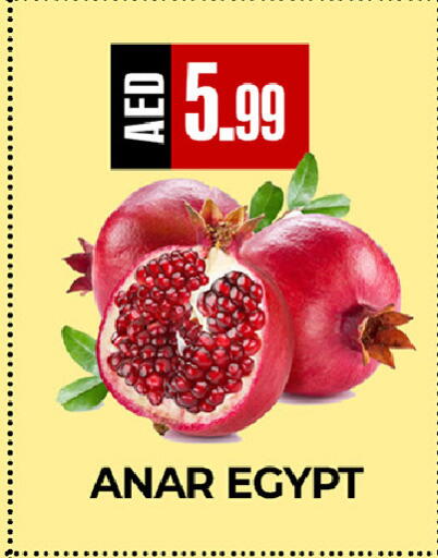 from Egypt available at  RIVIERA SUPERMARKET L.L.C in UAE - Abu Dhabi