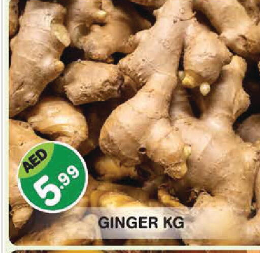 Ginger available at سنابل بني ياس in الإمارات العربية المتحدة , الامارات - أبو ظبي