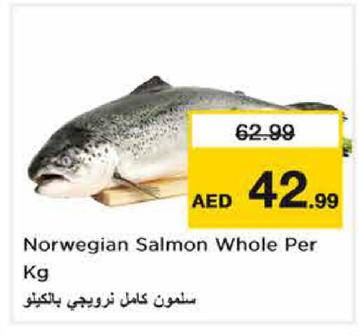 available at نستو هايبرماركت in الإمارات العربية المتحدة , الامارات - الشارقة / عجمان