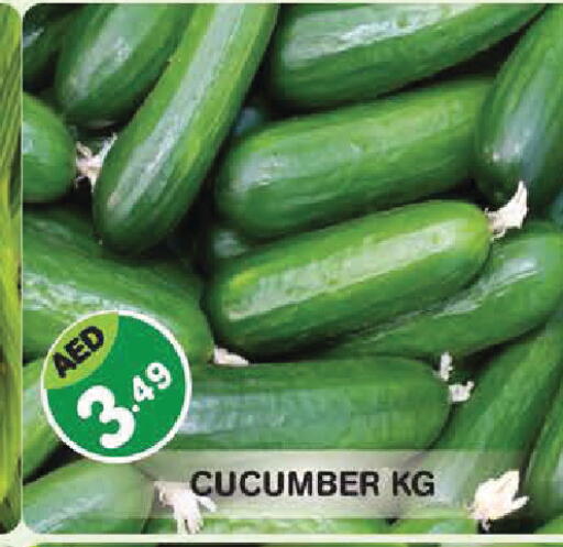 Cucumber available at سنابل بني ياس in الإمارات العربية المتحدة , الامارات - أبو ظبي