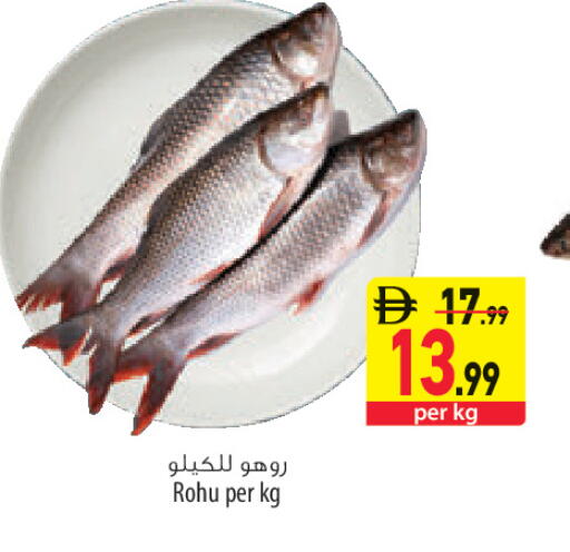 available at السفير ماركت in الإمارات العربية المتحدة , الامارات - أبو ظبي