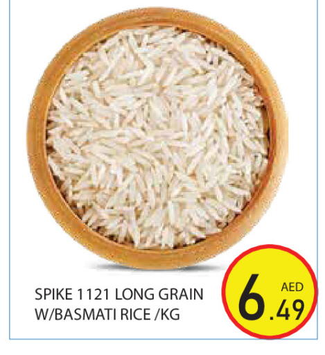 available at سنابل بني ياس in الإمارات العربية المتحدة , الامارات - أبو ظبي