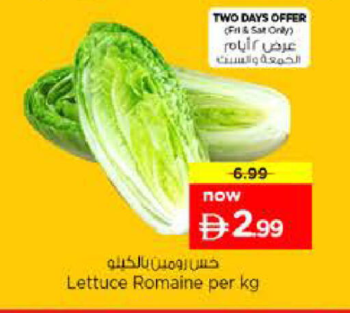 Lettuce available at نستو هايبرماركت in الإمارات العربية المتحدة , الامارات - الشارقة / عجمان