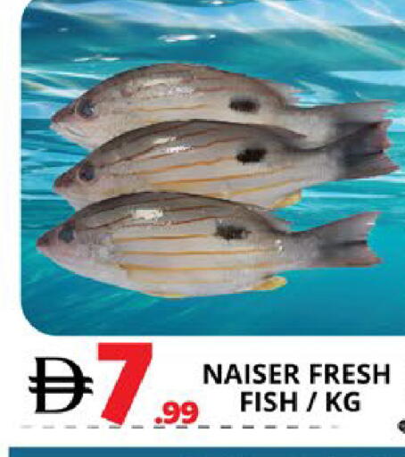 available at EXPRESS AL MADEENA HYPERMARKET LLC in UAE - Abu Dhabi