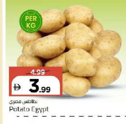 Potato from Egypt available at مارك & سيف in الإمارات العربية المتحدة , الامارات - دبي