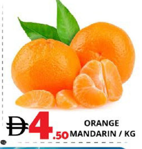 Orange Mandarin available at اكسبرس المدينة هايبرماركت in الإمارات العربية المتحدة , الامارات - أبو ظبي