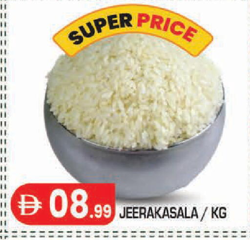 available at سنابل بني ياس in الإمارات العربية المتحدة , الامارات - أبو ظبي