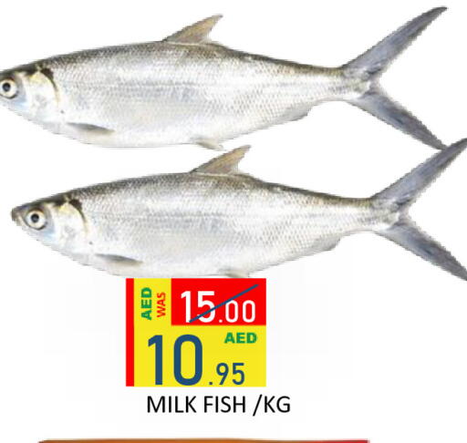 available at ROYAL GULF HYPERMARKET LLC in UAE - Abu Dhabi