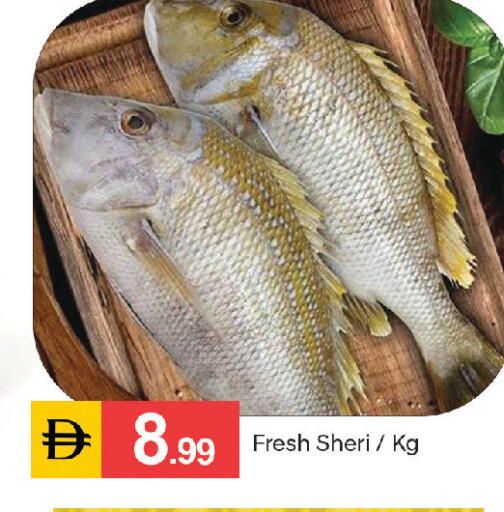 available at سوق طلال in الإمارات العربية المتحدة , الامارات - أبو ظبي