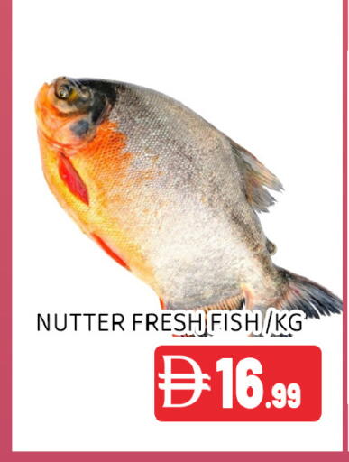 available at عين المدينة هايبرماركت in الإمارات العربية المتحدة , الامارات - الشارقة / عجمان