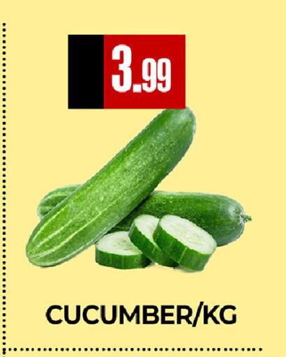 Cucumber available at  RIVIERA SUPERMARKET L.L.C in UAE - Abu Dhabi
