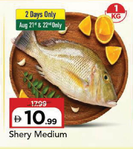 available at Mark & Save in UAE - Sharjah / Ajman