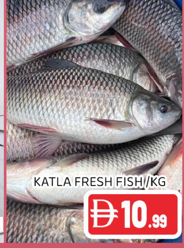 available at عين المدينة هايبرماركت in الإمارات العربية المتحدة , الامارات - الشارقة / عجمان