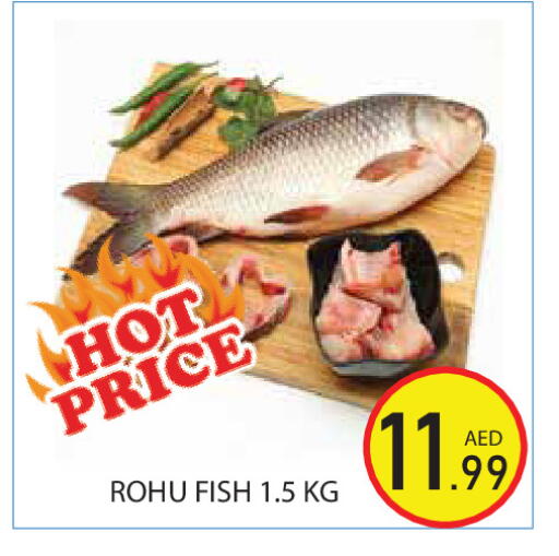 available at Baniyas Spike  in UAE - Ras al Khaimah