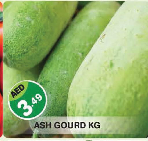 available at سنابل بني ياس in الإمارات العربية المتحدة , الامارات - أبو ظبي