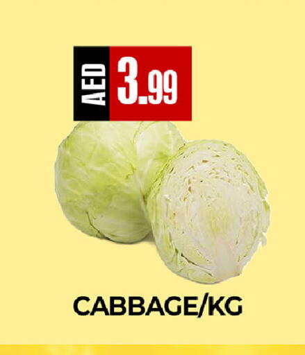 Cabbage available at  RIVIERA SUPERMARKET L.L.C in UAE - Abu Dhabi