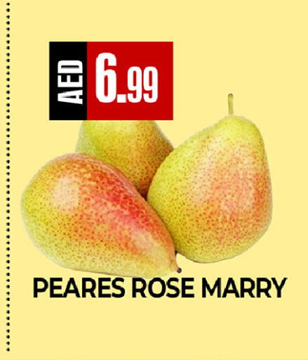 available at ريفييرا سوبرماركت in الإمارات العربية المتحدة , الامارات - أبو ظبي