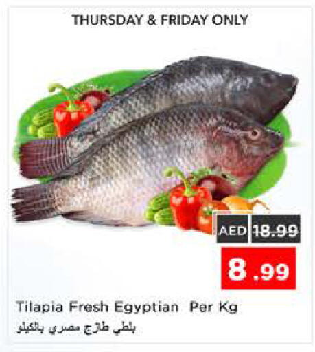 available at نستو هايبرماركت in الإمارات العربية المتحدة , الامارات - الشارقة / عجمان